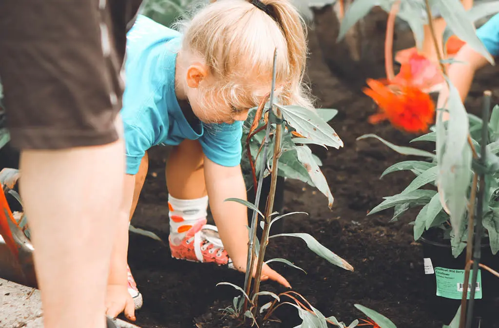 7 Tips For Building Your Own Family Garden