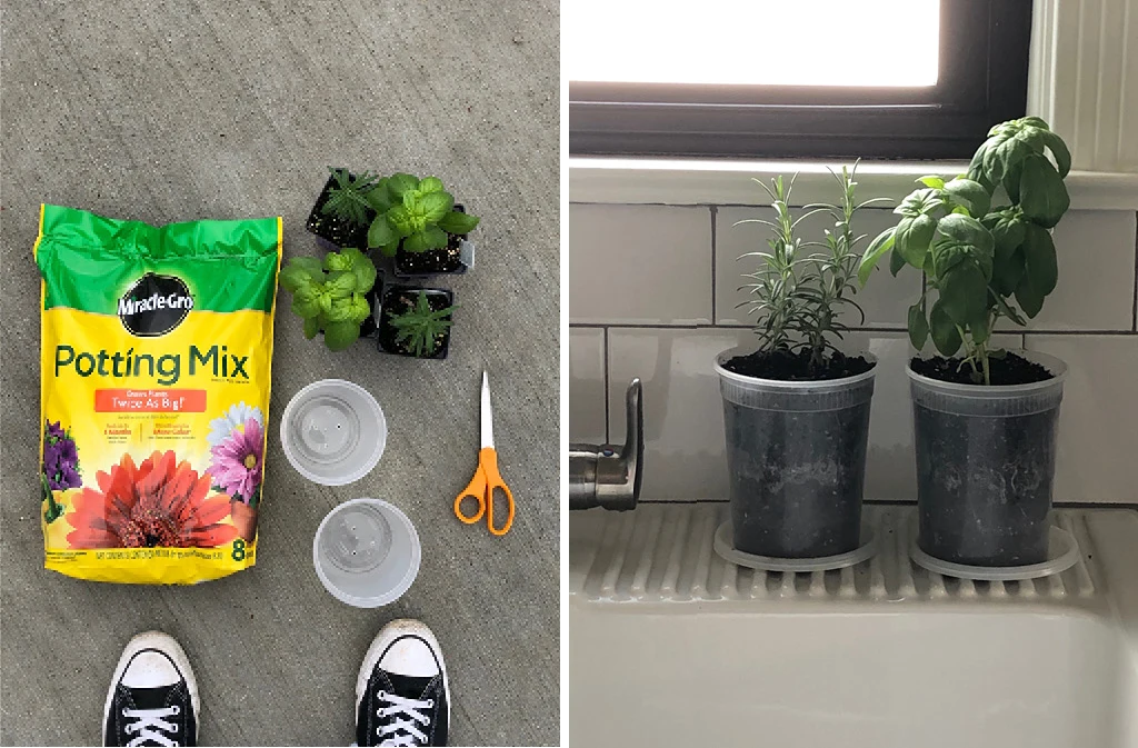 Craft Ideas Reusing Your Takeout Containers